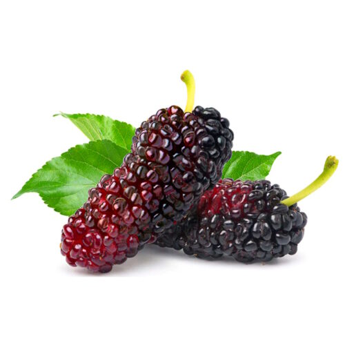 SABOR NATURAL - MORA - UNIDAD RINDE PARA 1 KG DE PRODUCTO BASE